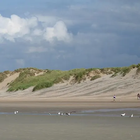 Ter Poel